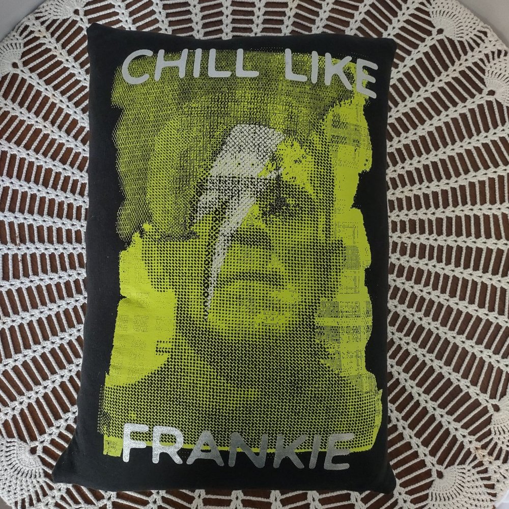 Rag Frog Revival Throw pillow COVER ONLY made from Upcycled T-shirt size 11"x14"
